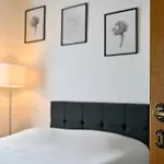 Midi