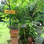 Bed & Breakfast Les Taillis