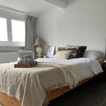 Lovely 2-bedroom Duplex W/ Balcony In Apartment Brussels