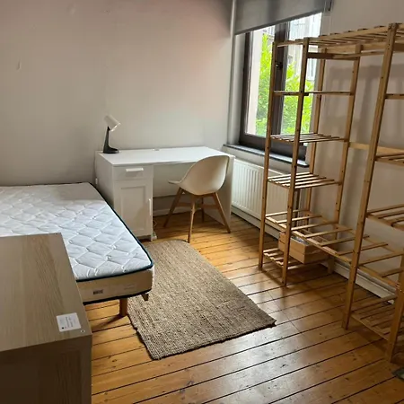 Cozy Ixelles Apartment Brussels