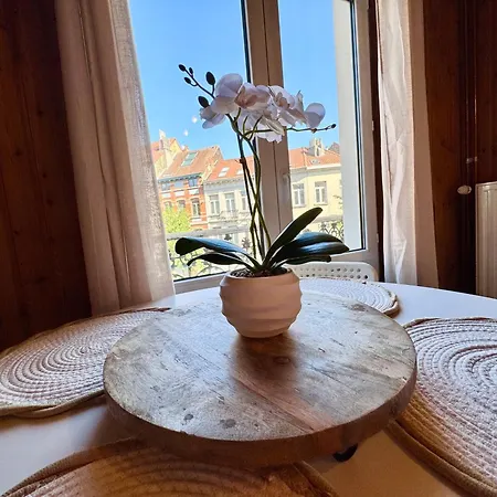 Apartment Beautiful Cozy Duplex *