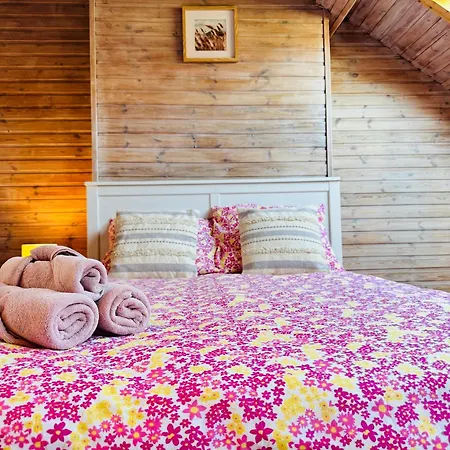 Apartment Beautiful Cozy Duplex *