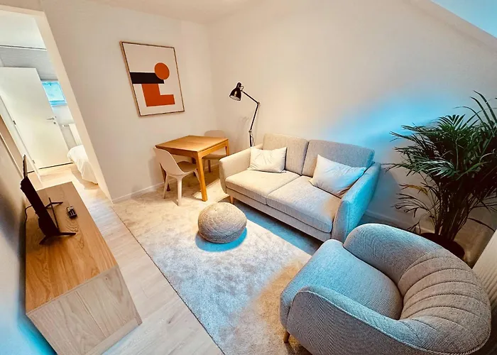 The Comfy For Two - Brussels