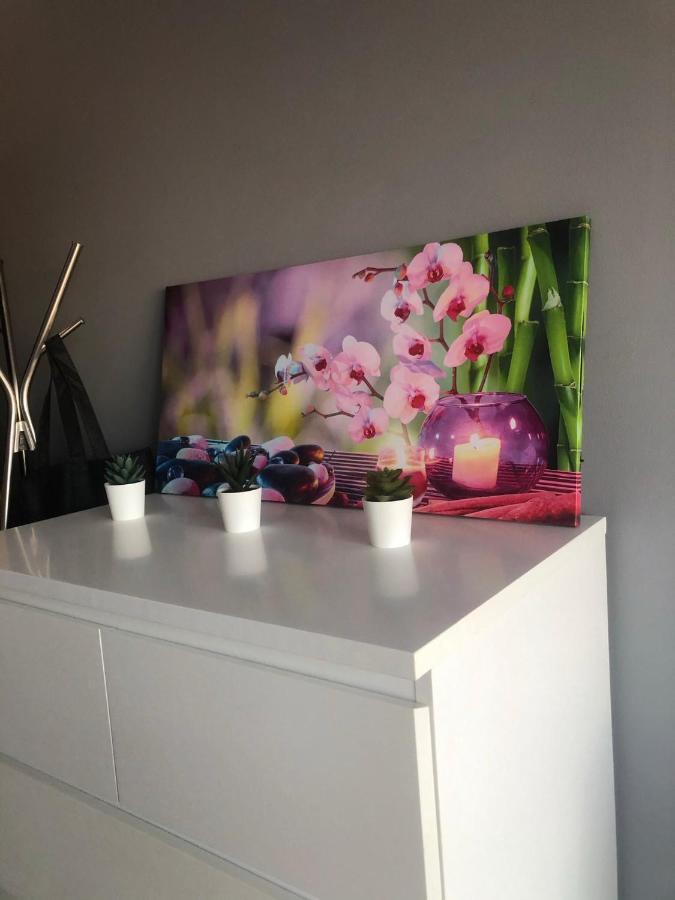 Homestay Studio Equipe, Salle De Bain Privee, Proche Centre Ville *