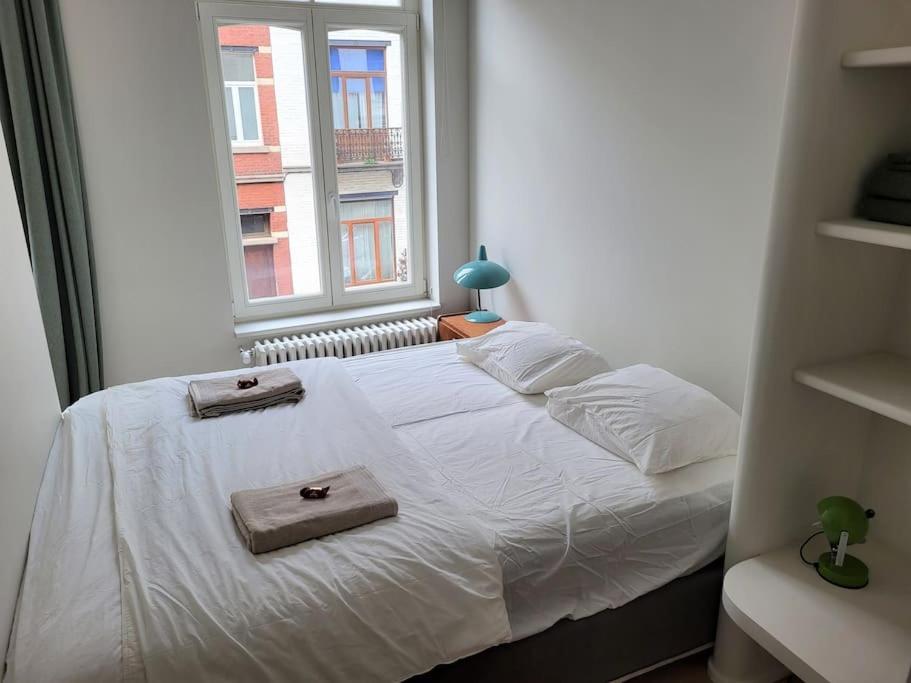 Appartement Comfortable Flat Close To Flagey Brussel