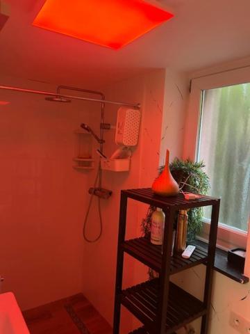 Homestay Zen Atomium Et Palais De L'exposition Brussels