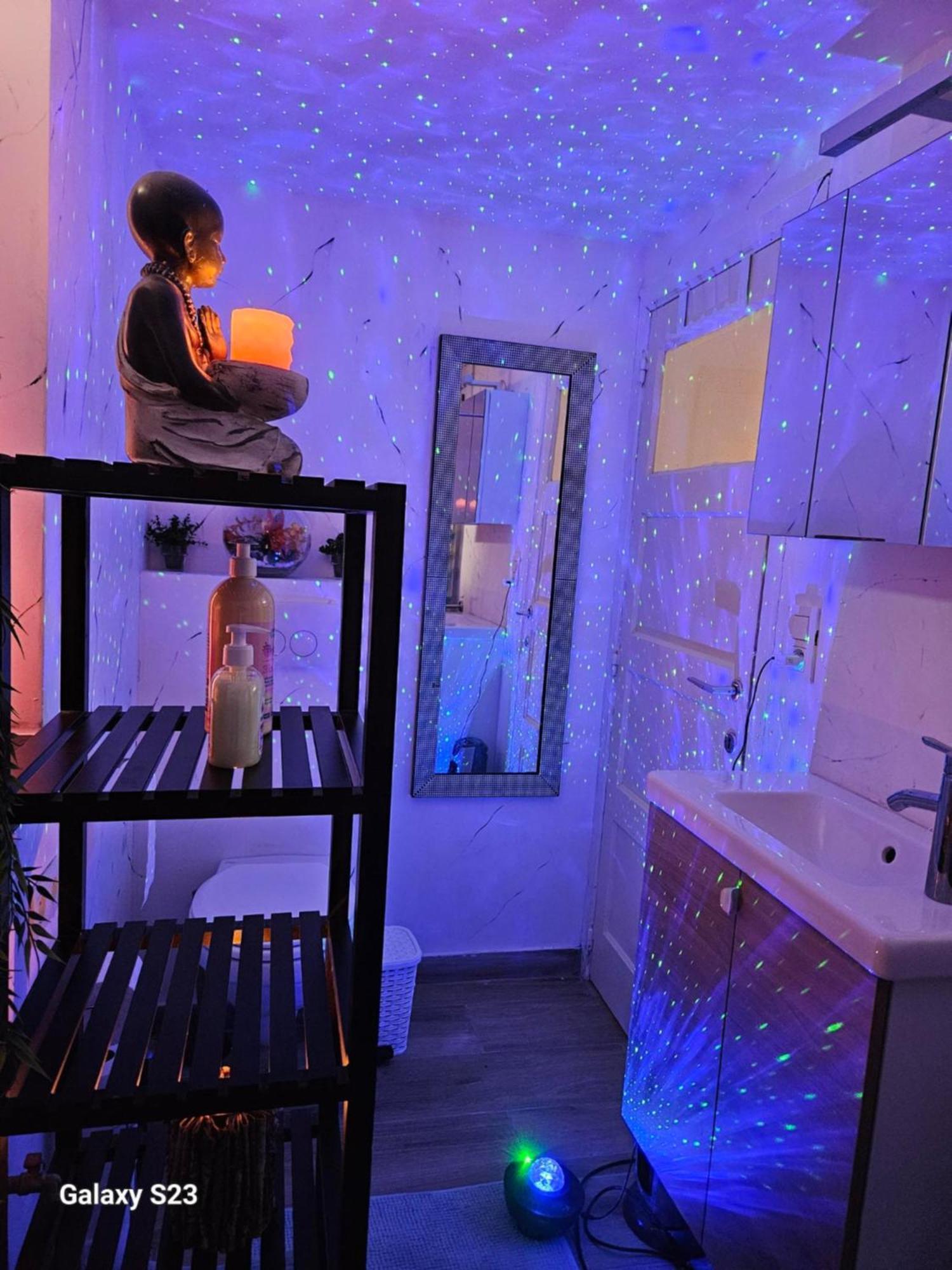 Homestay Zen Atomium Et Palais De L'exposition *