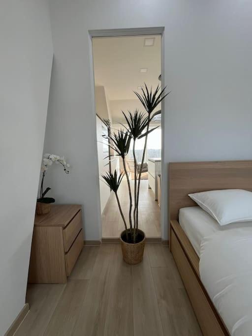 The Cosy House Brussels