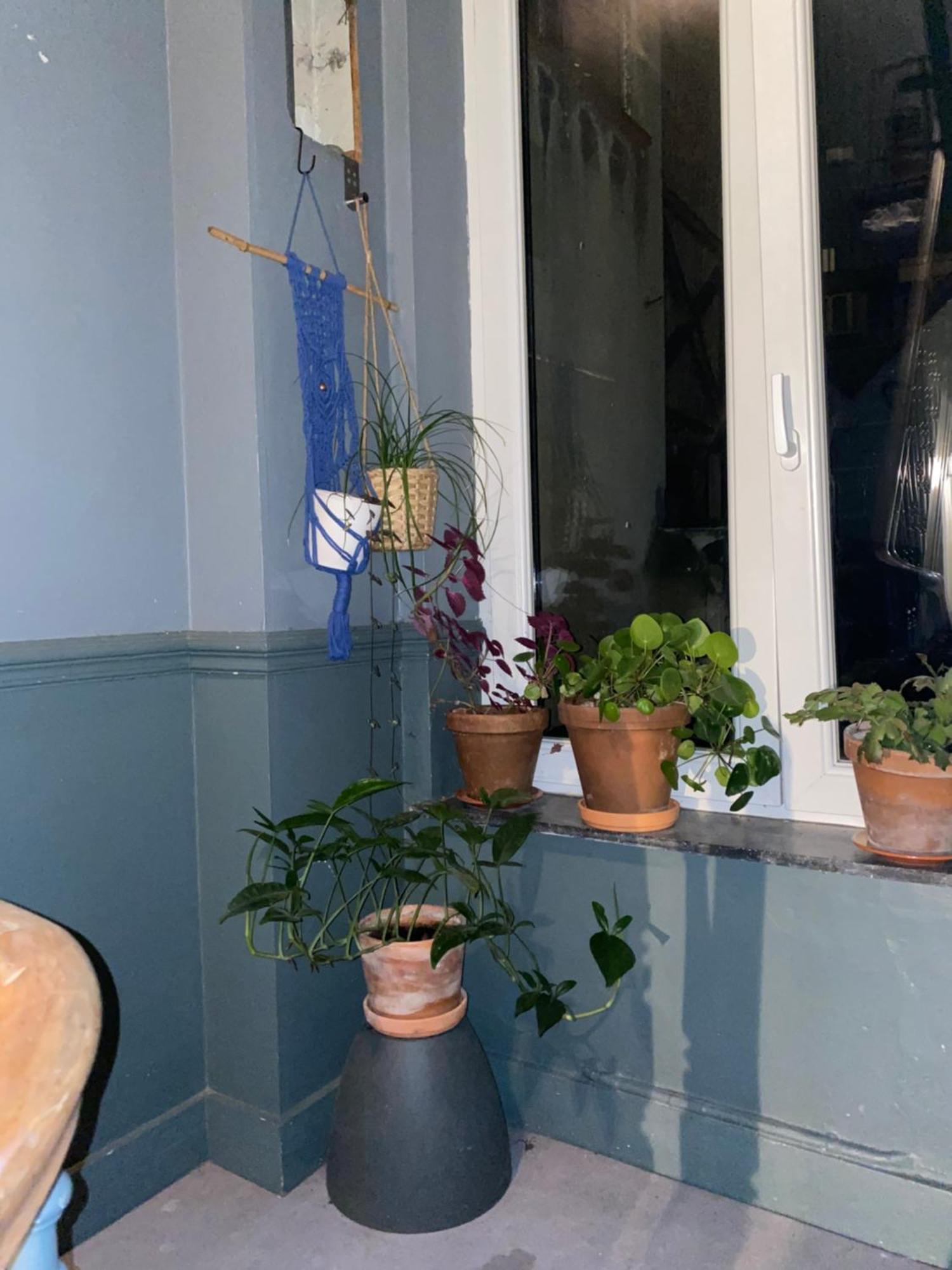 Apartment Chez-soi Brussels