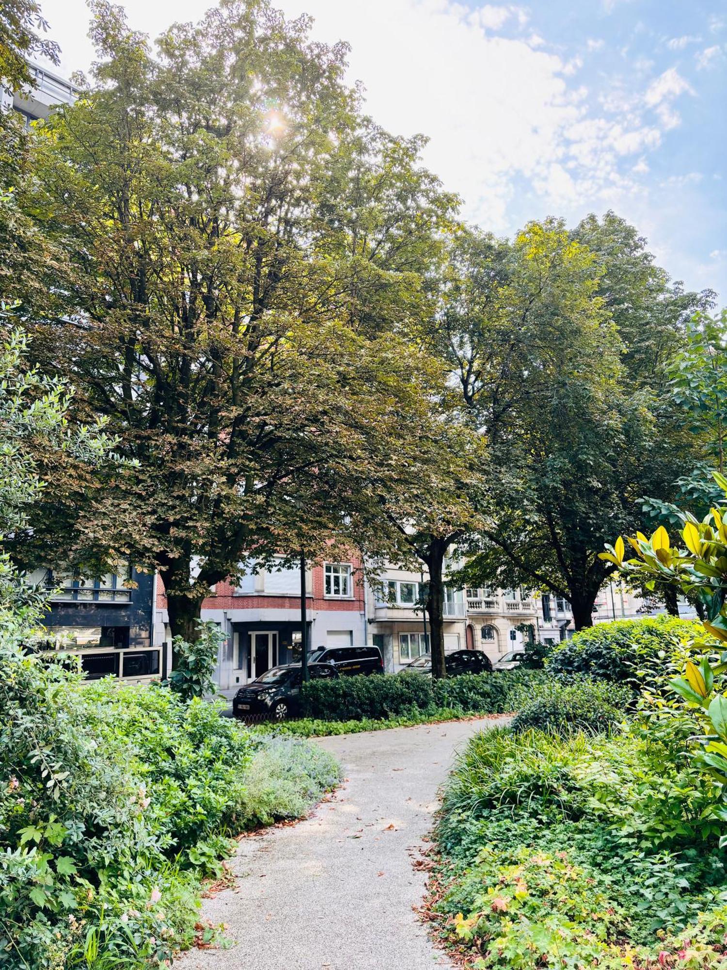 Homestay Louise Garden Brussels