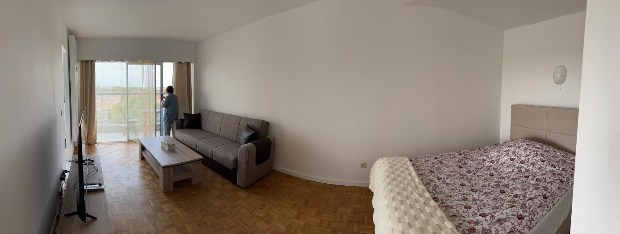 Zone Touristique Brussels