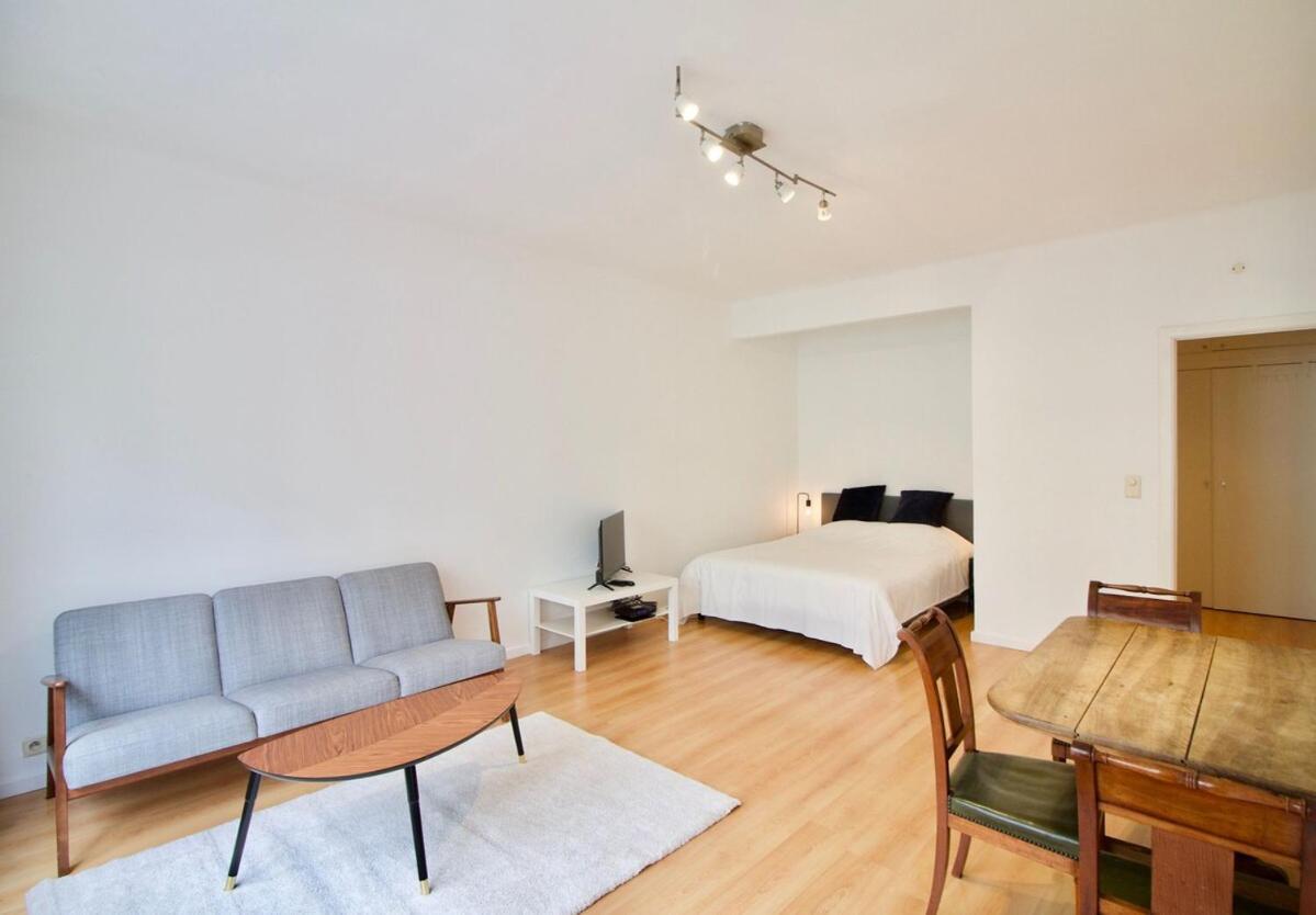 Apartment Very & Large Studio-plasky Brussels