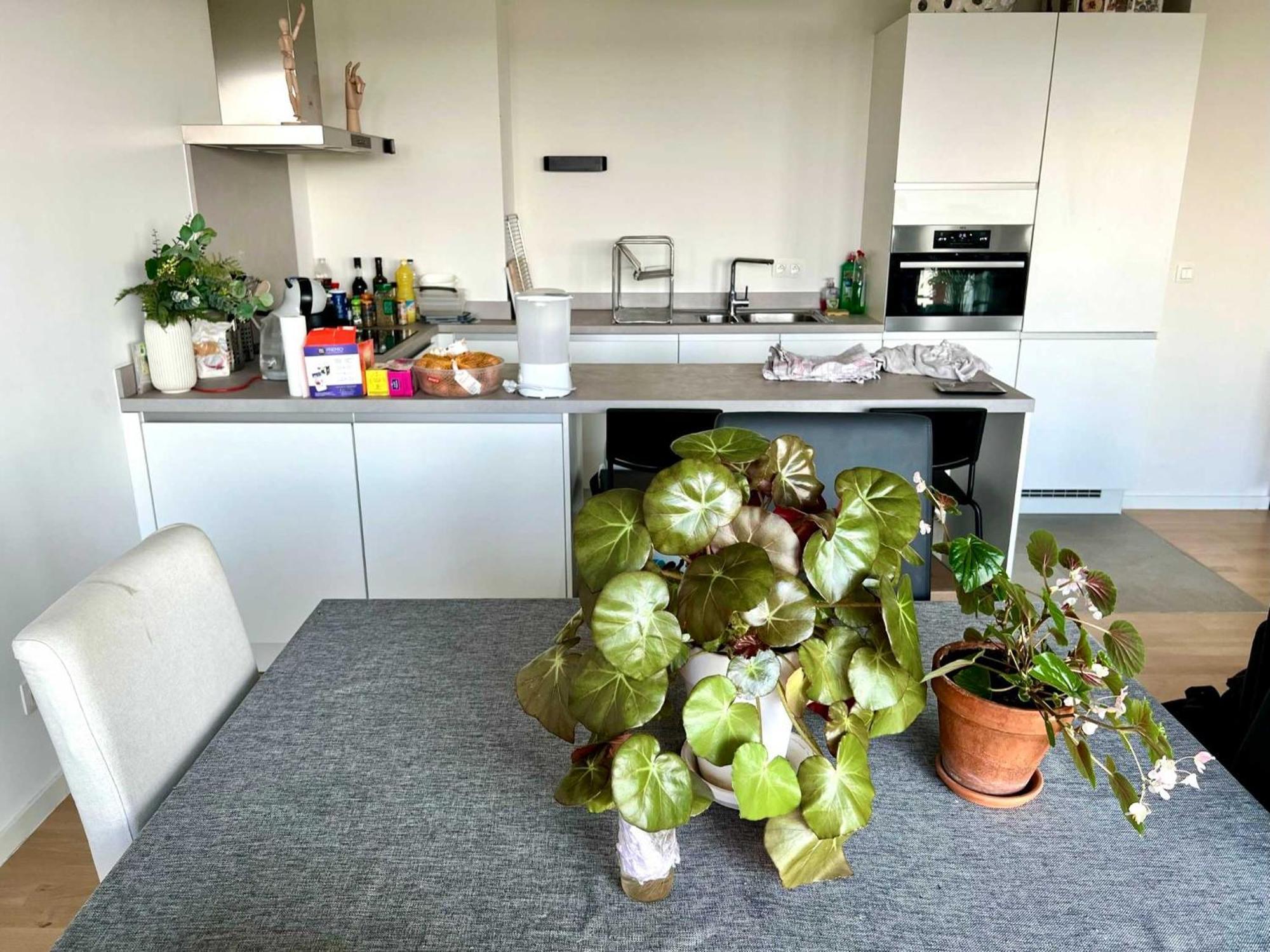 Family Friendly Close To The Atomium Brussels