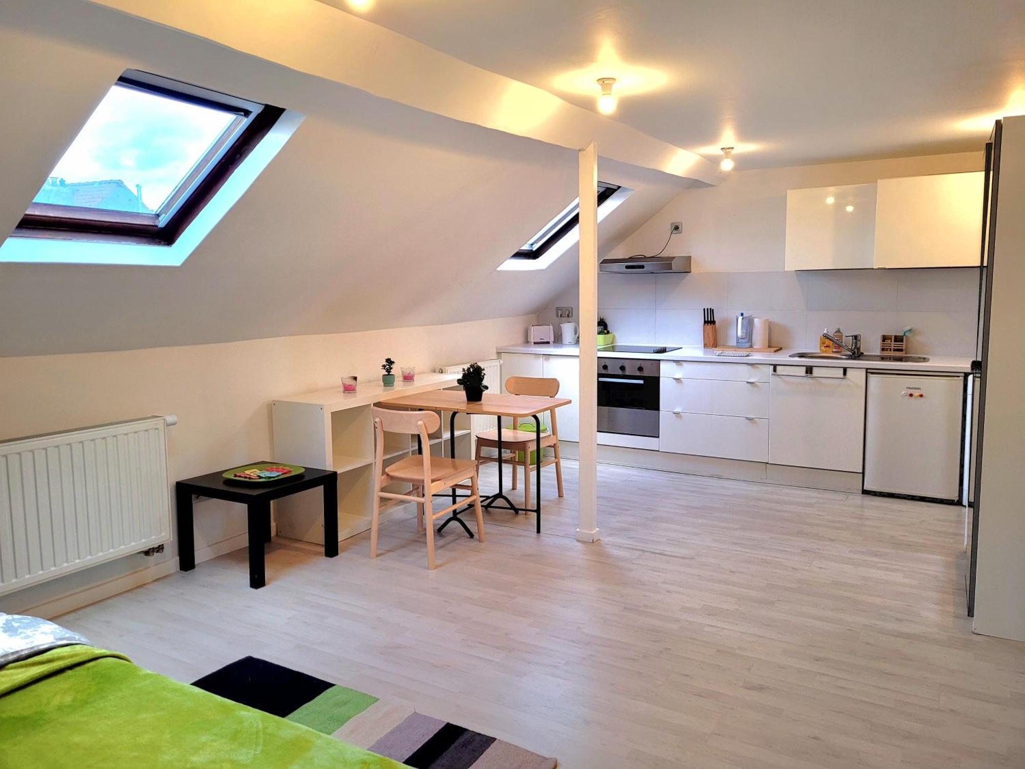 Apartment Comfortable Mini Loft In The Heart Of Brüssel