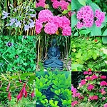 Bijou Brussels > Parvis St Pierre