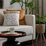 Light And Modern Place