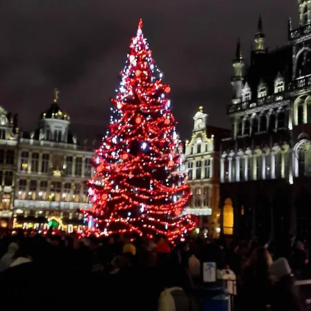 Sleep And Enjoy Brussel