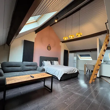 Joli Lumineux Apartment *