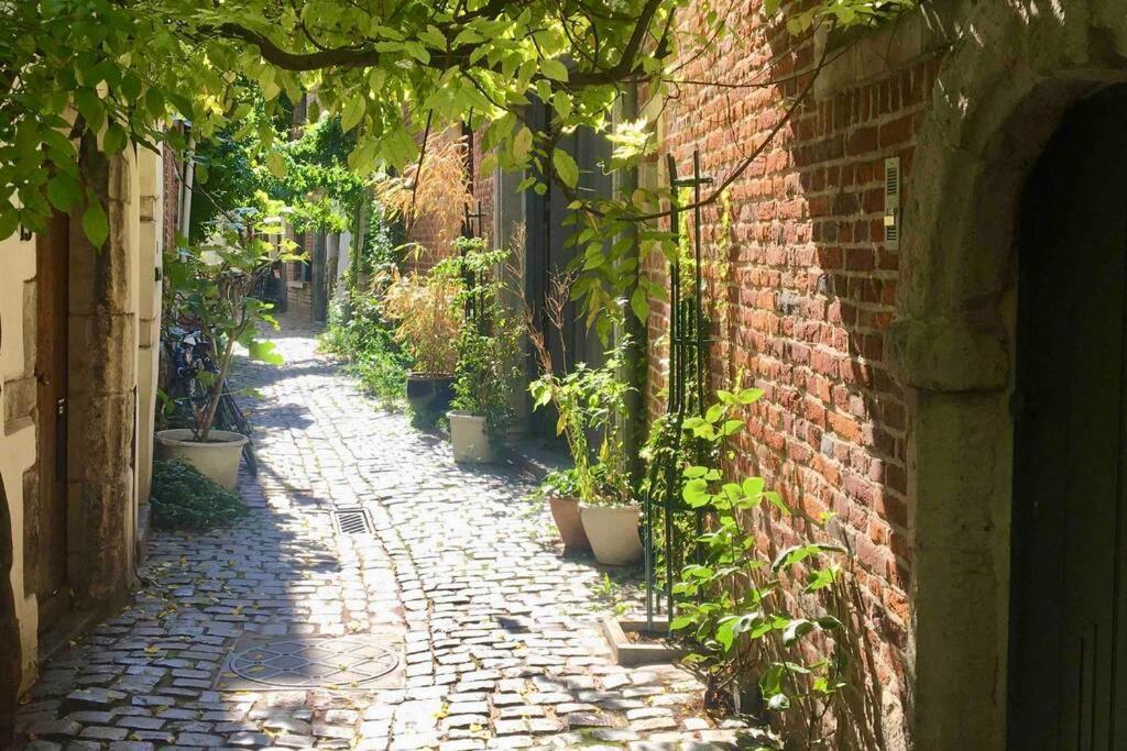 Apartment En Plein Coeur De Bruxelles. Superbe Duplex.a Voir! Brussels