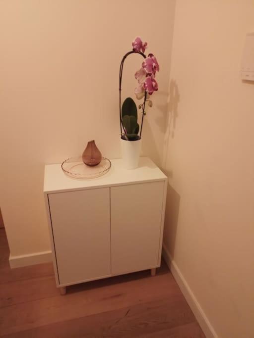Beautiful 2br/2bar Apartement In European District