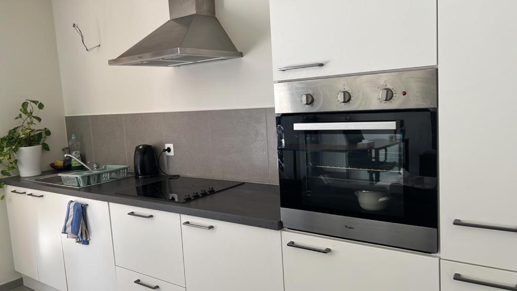 A Great One Bed Flat Special Number 98 Brussels