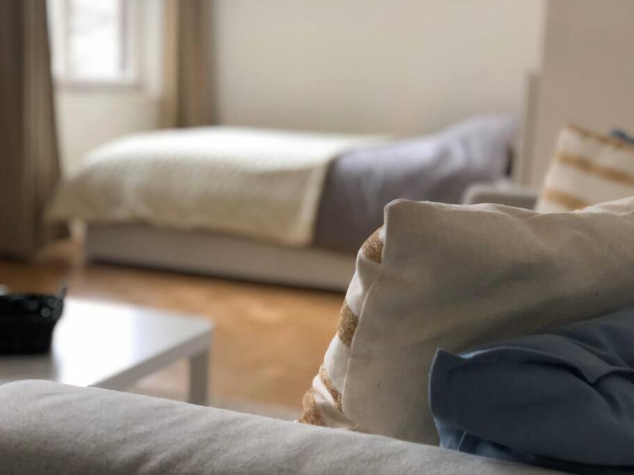 Superbe Studio Lumineux Au Coeur De Quartier Europeen Căn hộ Brussels
