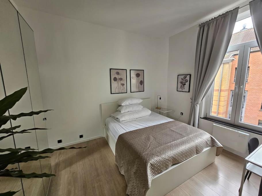 Cosy Studio Center Of *