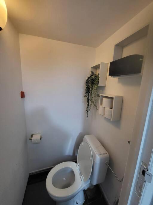 Apartment Style Haussmannien 1 Bedroom Brussels