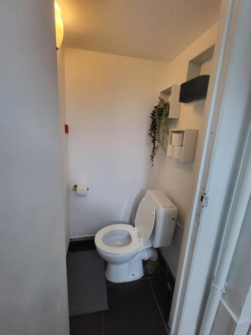 Apartment Style Haussmannien 1 Bedroom