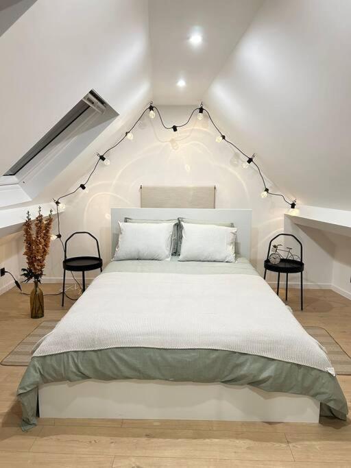 Magnifique Duplex Brussels