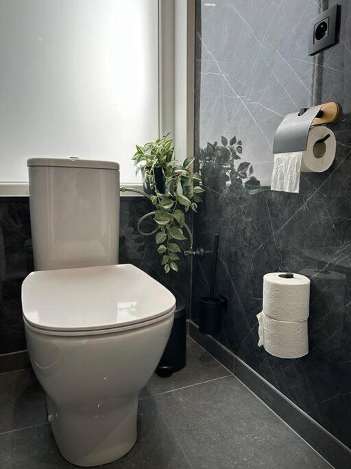 Magnifique Duplex Brussels