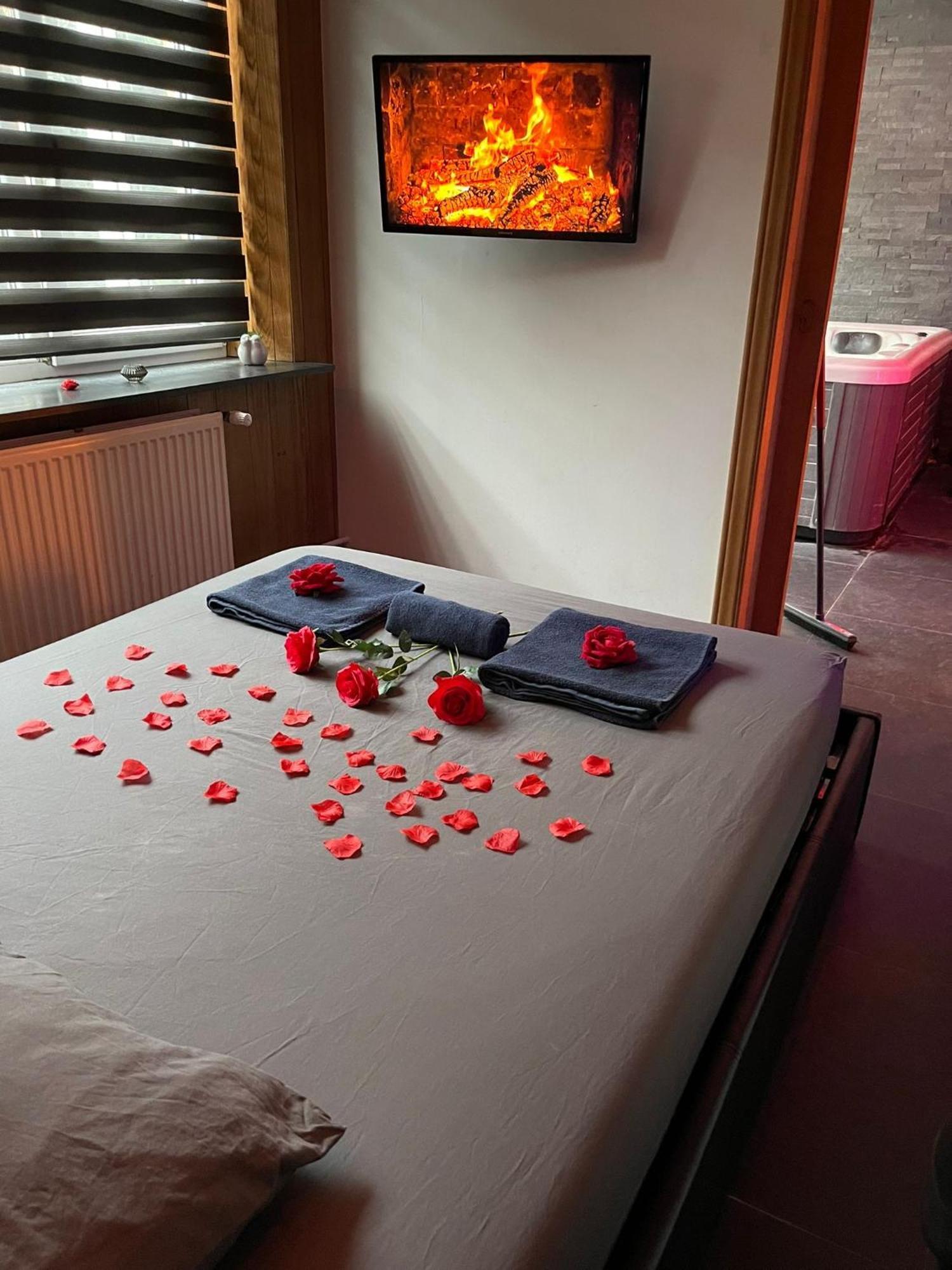 Fenix-spa Apartment Brussels