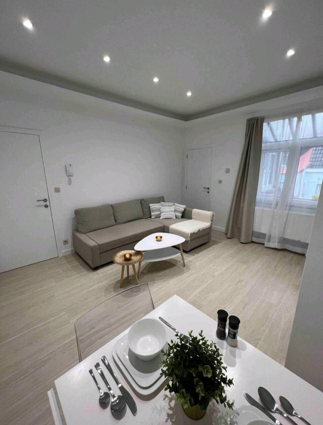 Sublime Calme Cosy & Jacuzzi * Brussels