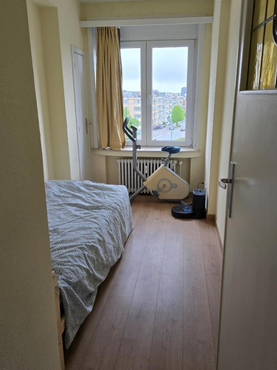 Luxurious 4 Apartment *