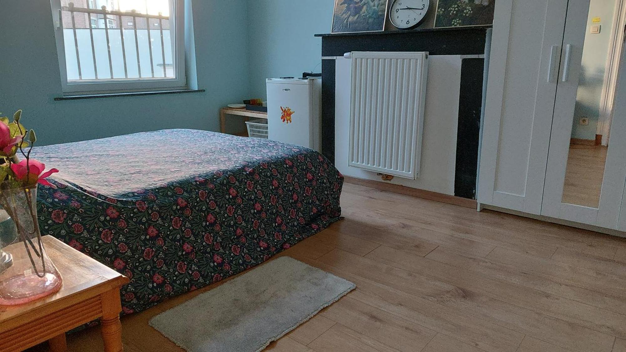 Homestay Confortable Avec Un Lit Double A Schaerbeek Cle Bleu *