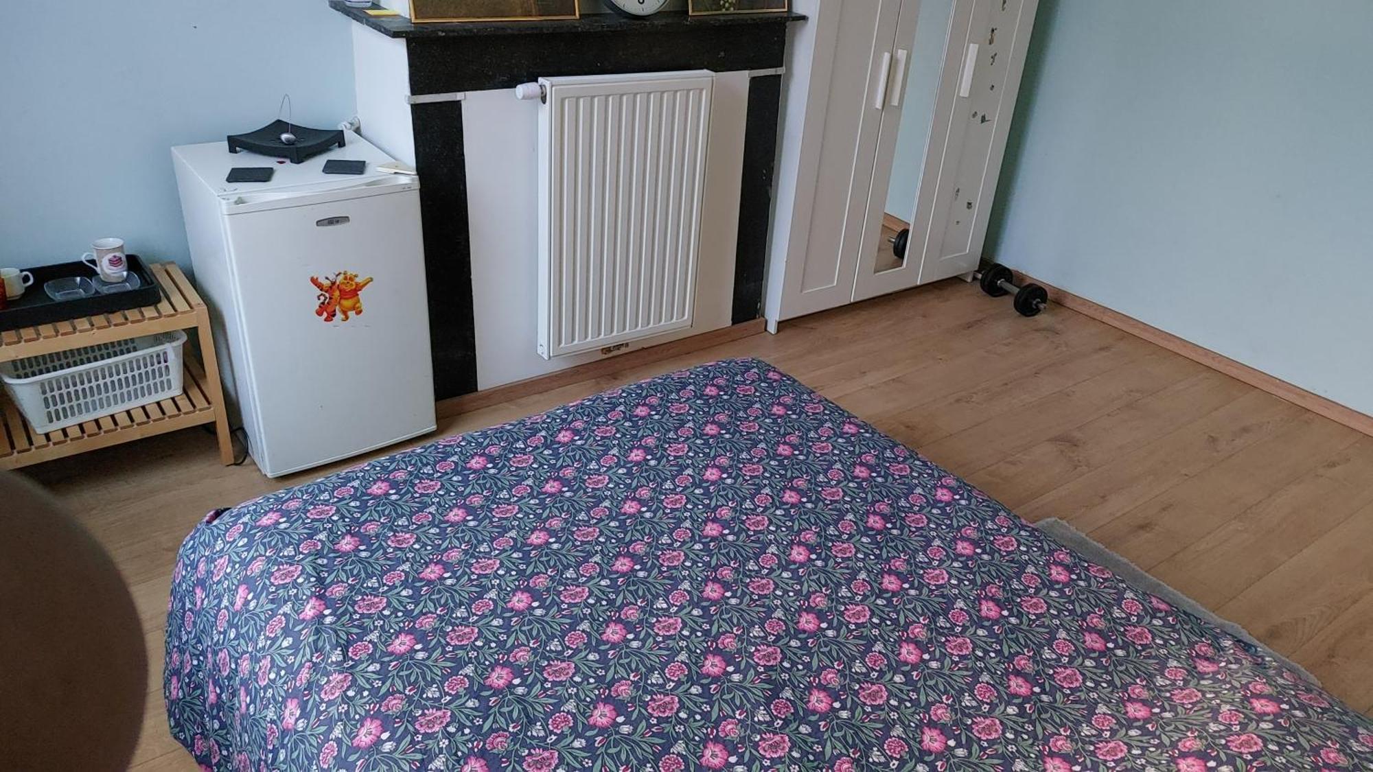 Confortable Avec Un Lit Double A Schaerbeek Cle Bleu Brussels