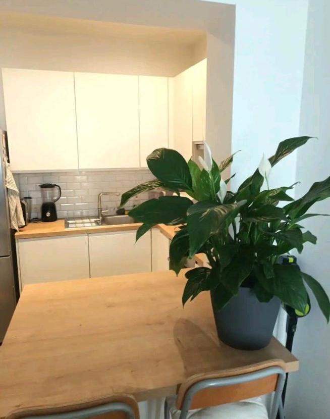 Beautiful 2 Bedroom In Place Flagey Bxl Apartment Brüssel