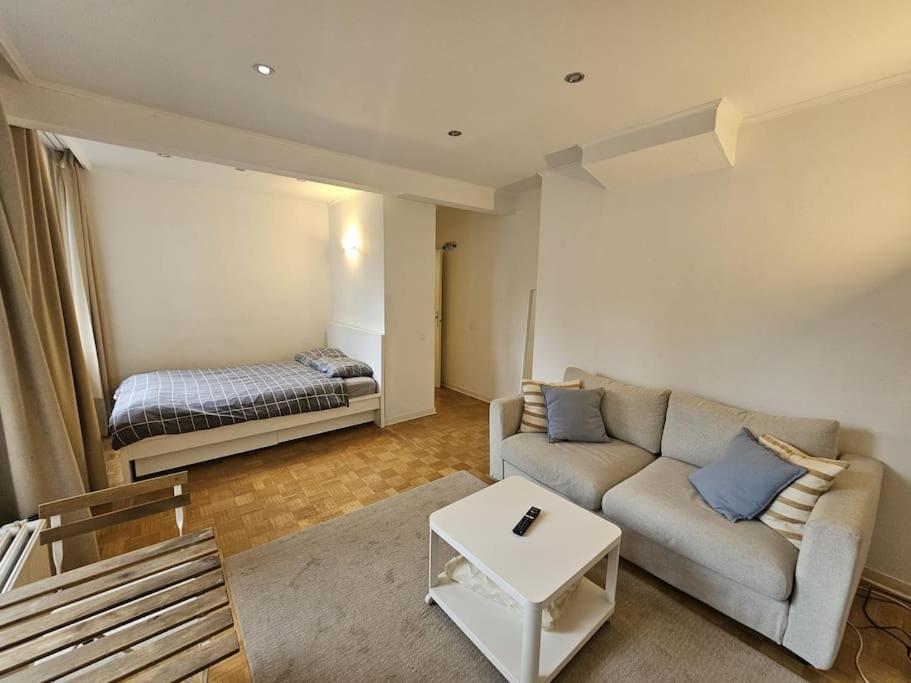 Cosy Studio Adolphe Lacombe Apartment Brussels