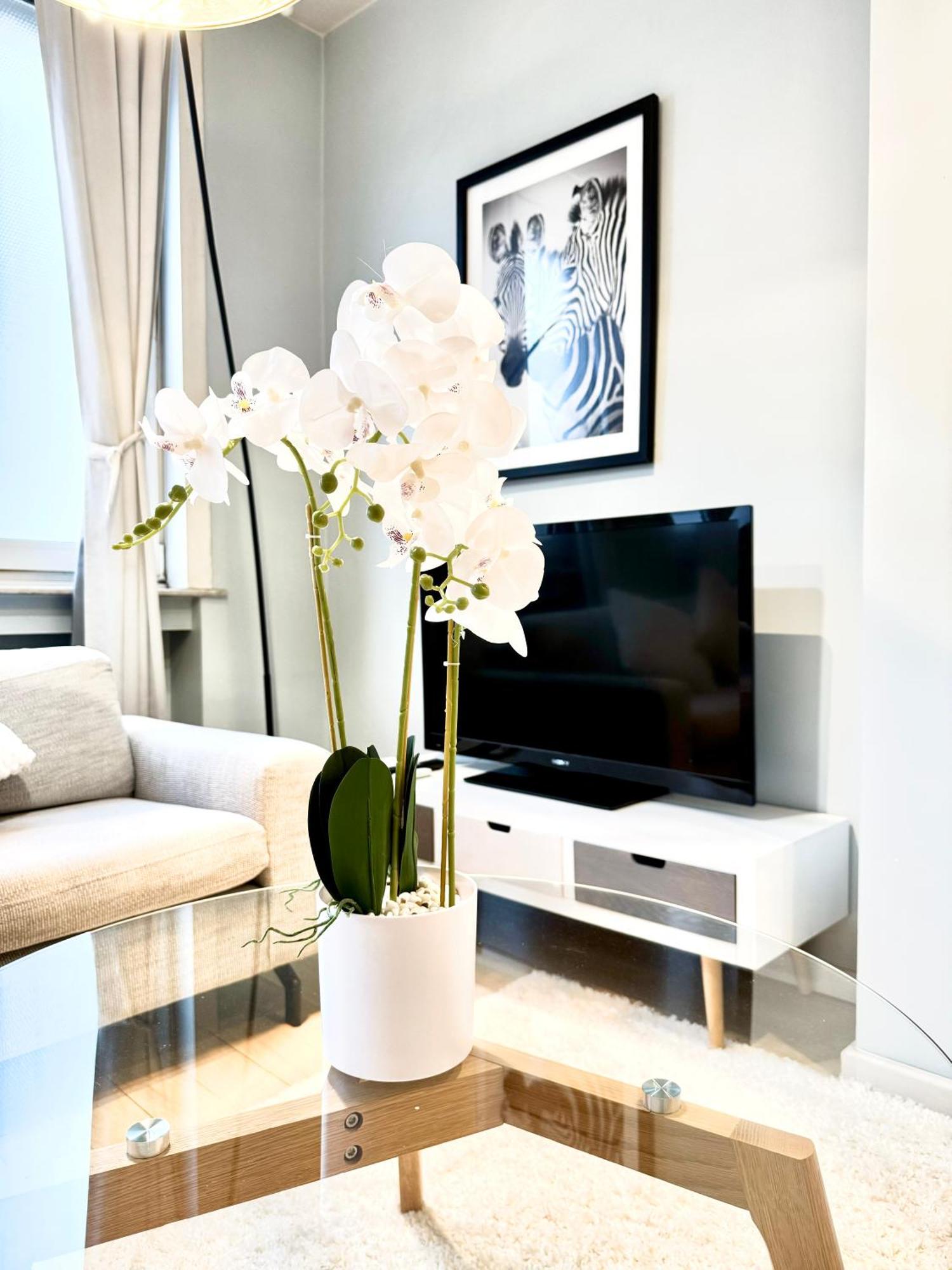Apartment Beautiful 2 Bedroom Familiar Luxury Brussels