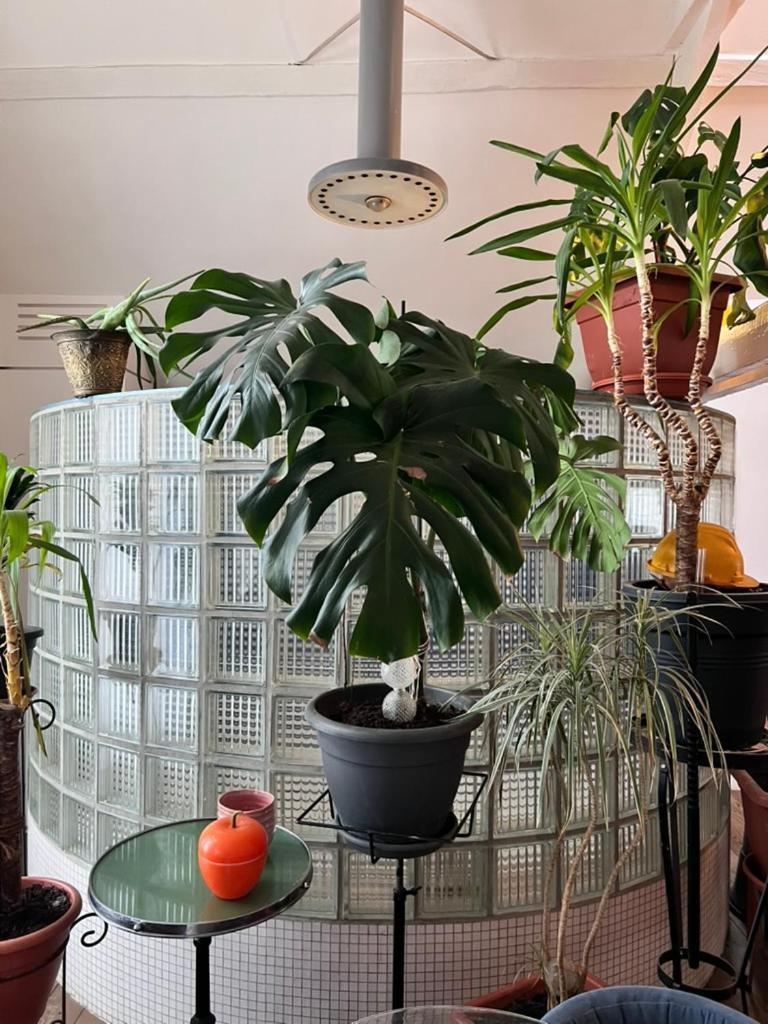 Un Loft Vintage *