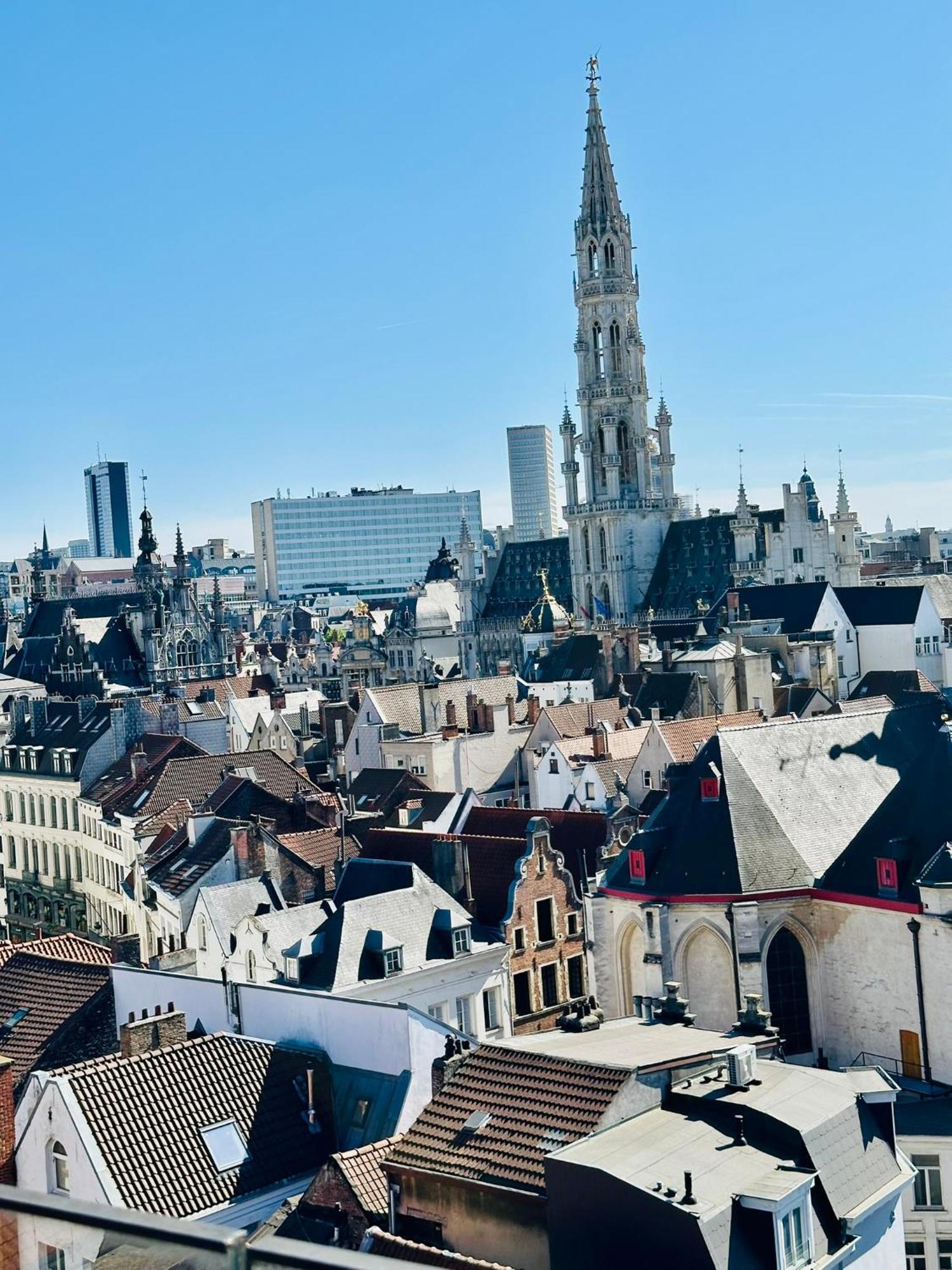 Penthouse Grand Place - 2Bd - 200Sqm Terrace Brussels