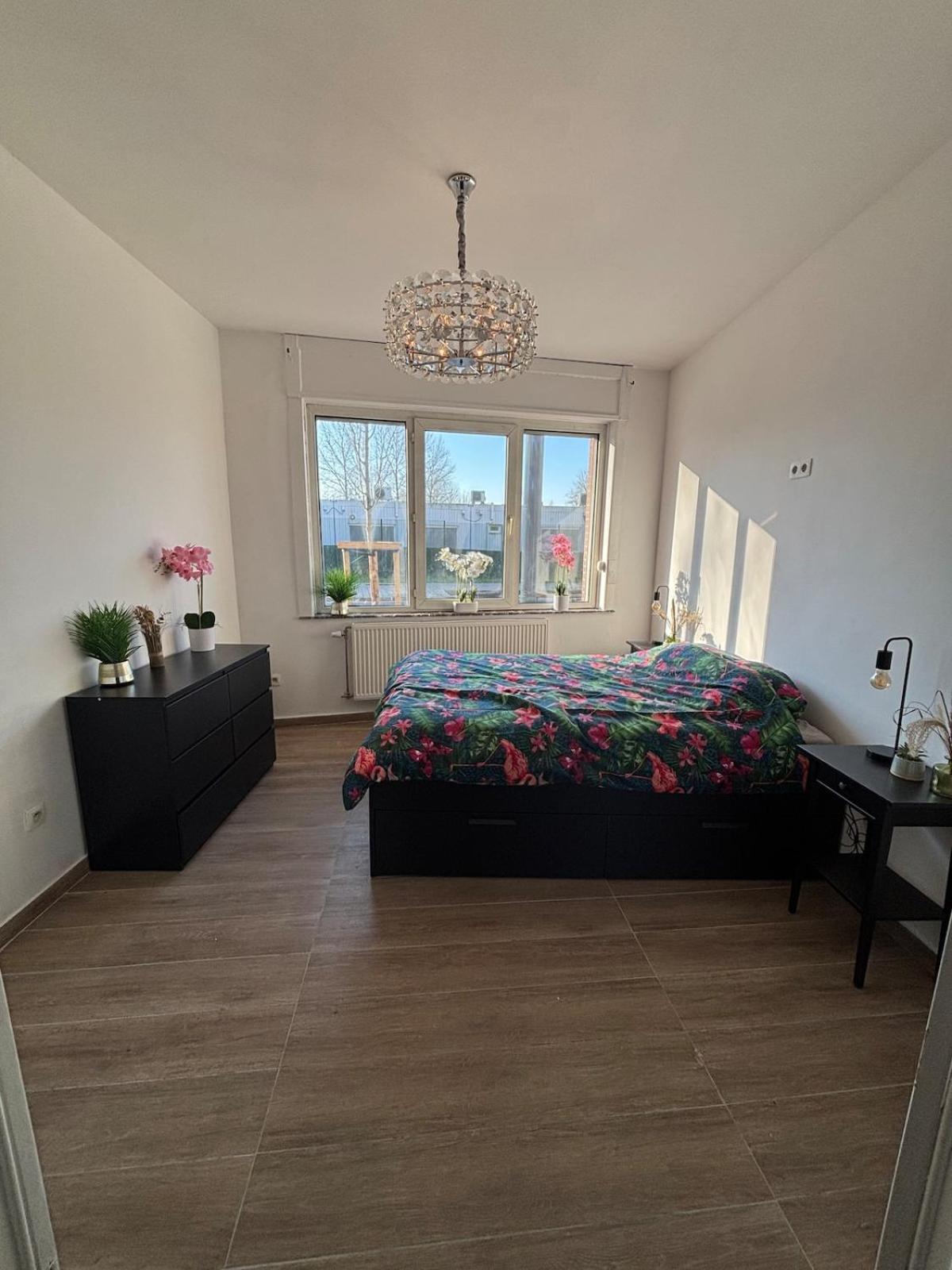 Modern In Brussels, Ground Floor Brussels