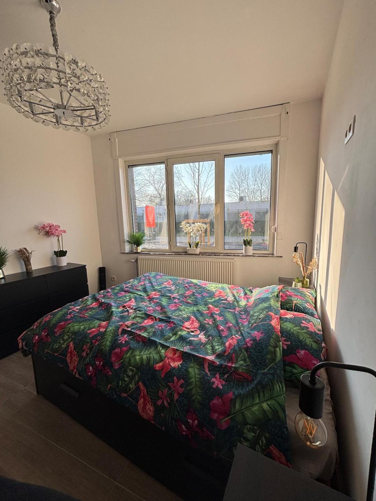 Modern In Brussels, Ground Floor Brussels