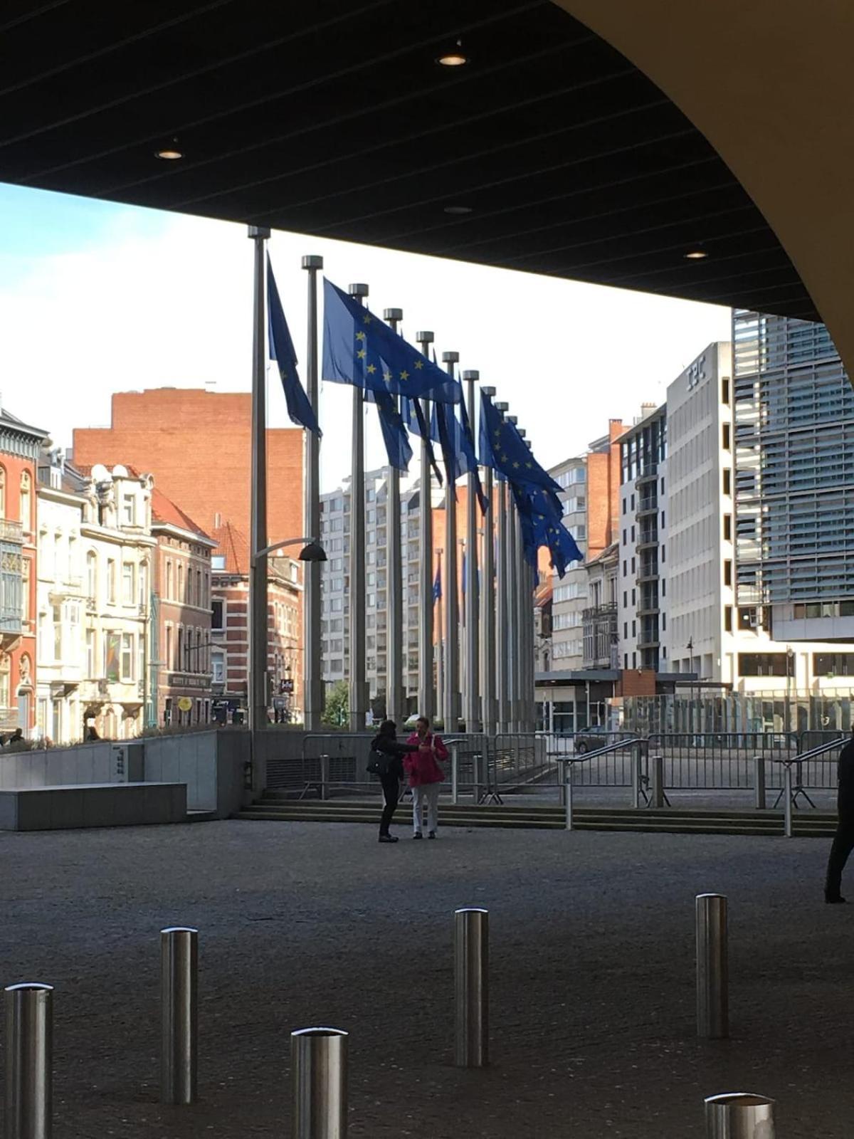 Bright And Cosy In Apartment