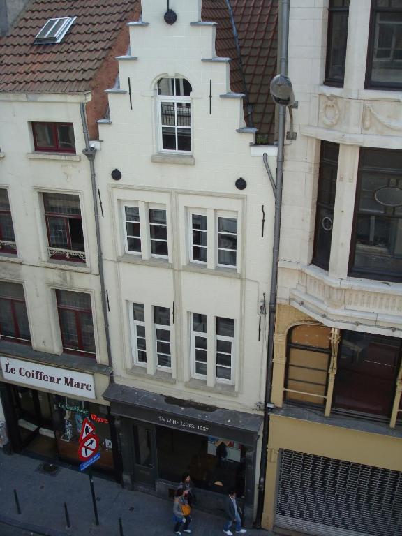 De Witte Leirsse 1557 *