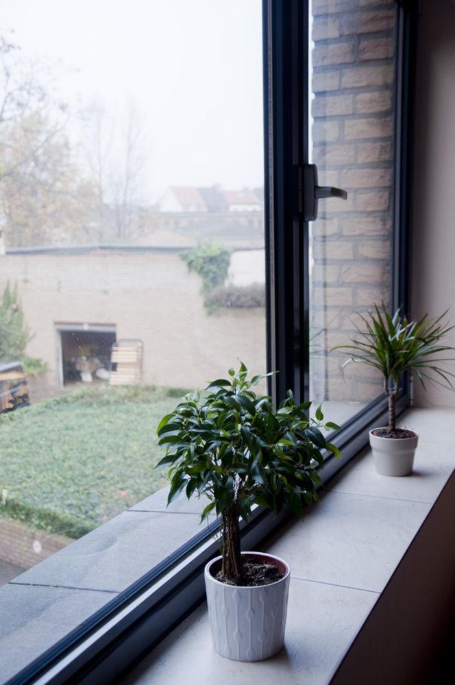Gardens Apartment Brussels