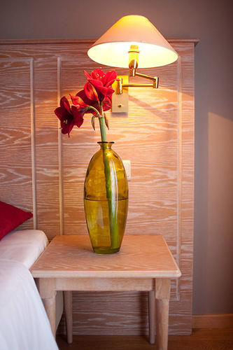 Aparthotel Axl Flathotel Continental 3*