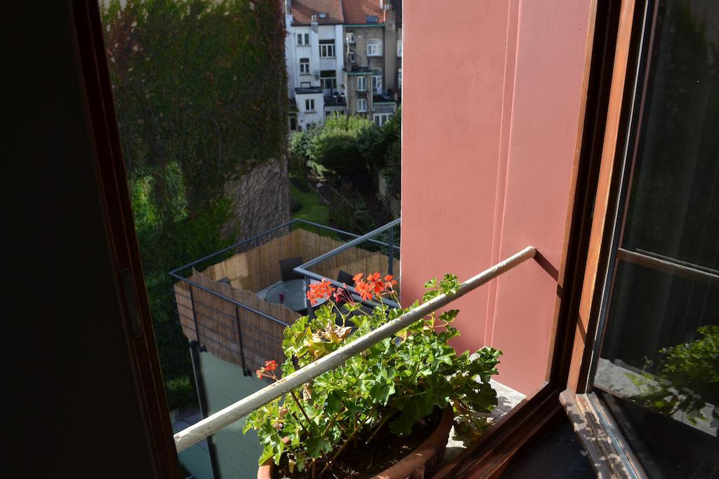 Des Roses Voltaire Schaerbeek