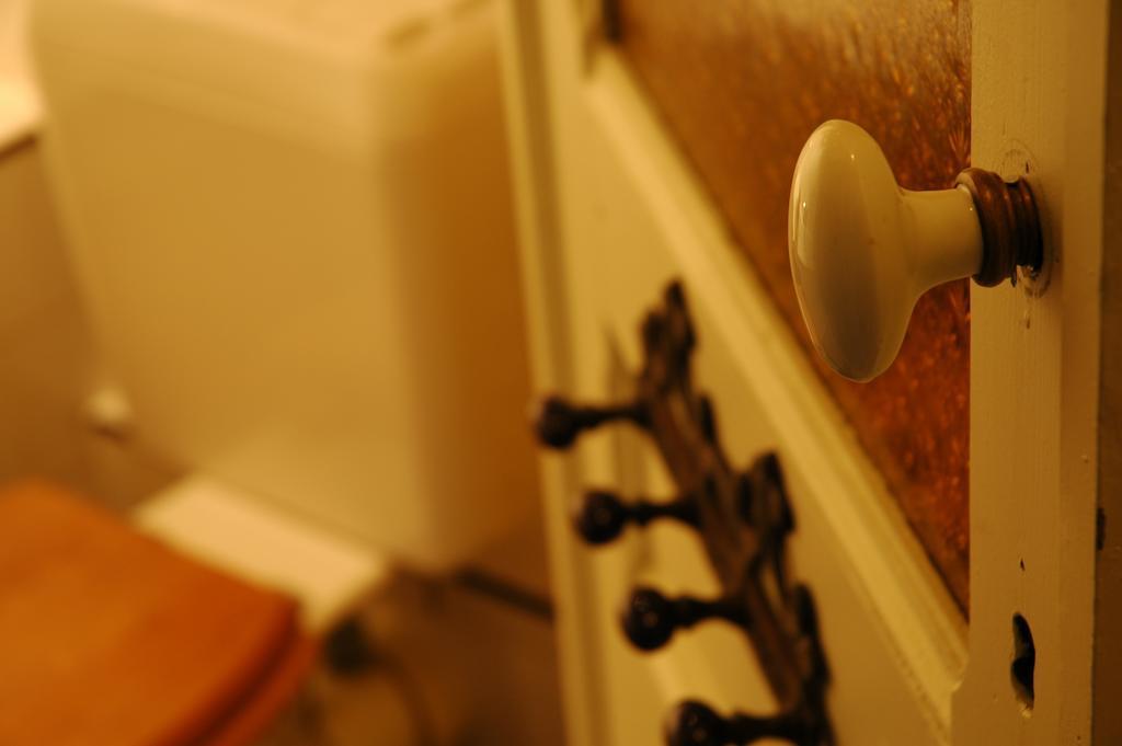 Des Roses Voltaire Bed & Breakfast Schaerbeek