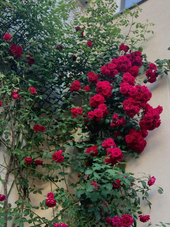 Bijou > Parvis St Pierre *